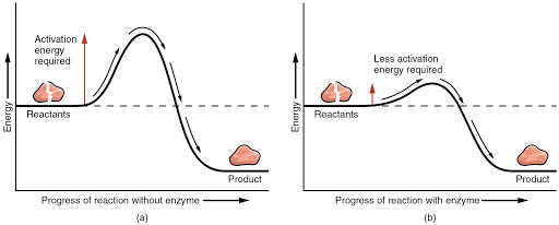 The_Chemistry_Behind_Every_Project_Kickoff_2