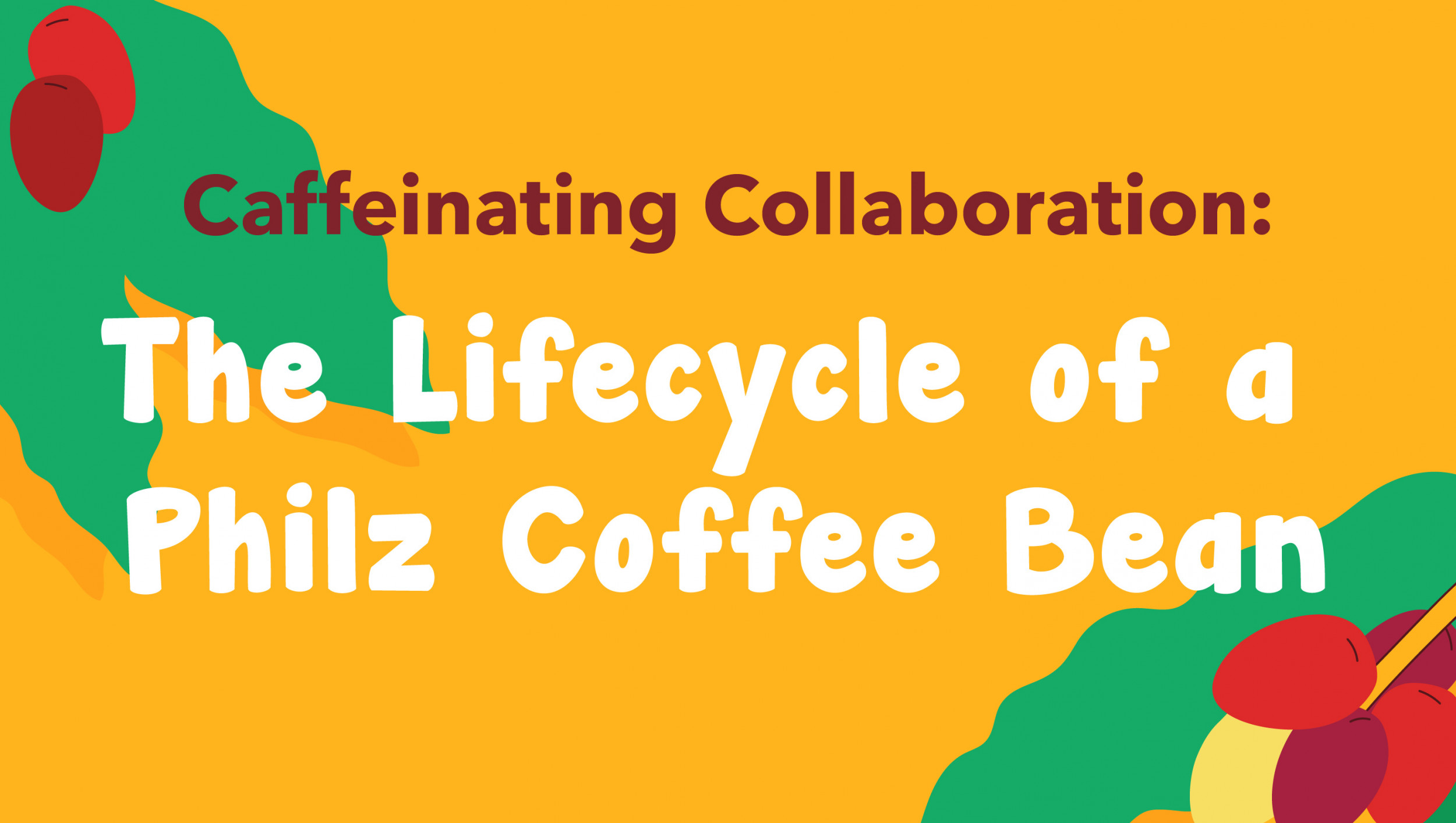 Caffeinating Collaboration The Lifecycle of a Philz Coffee Bean Blog