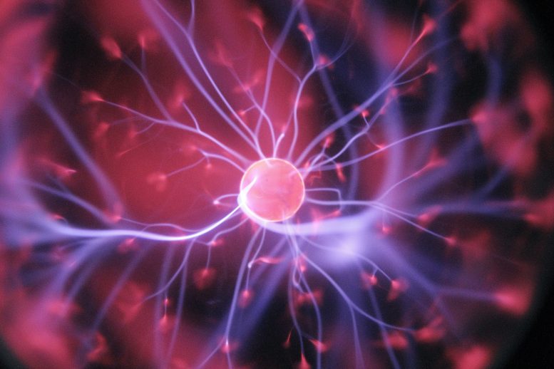 Image of a neuron to illustrate neuroplasticity