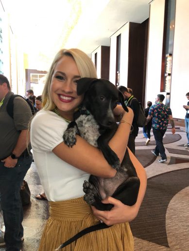 puppies