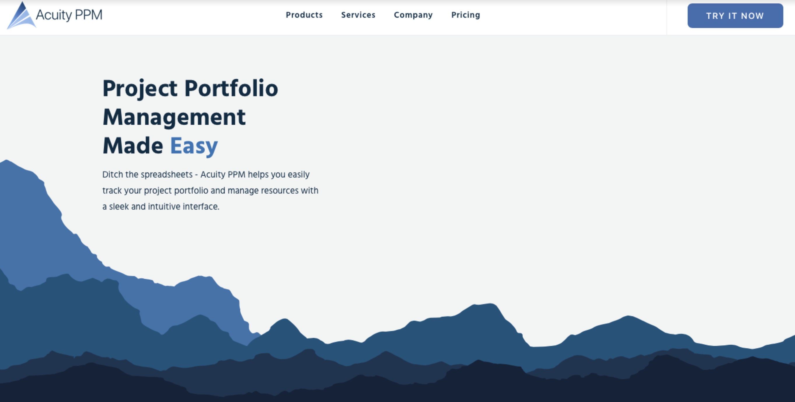 Acuity PPM homepage