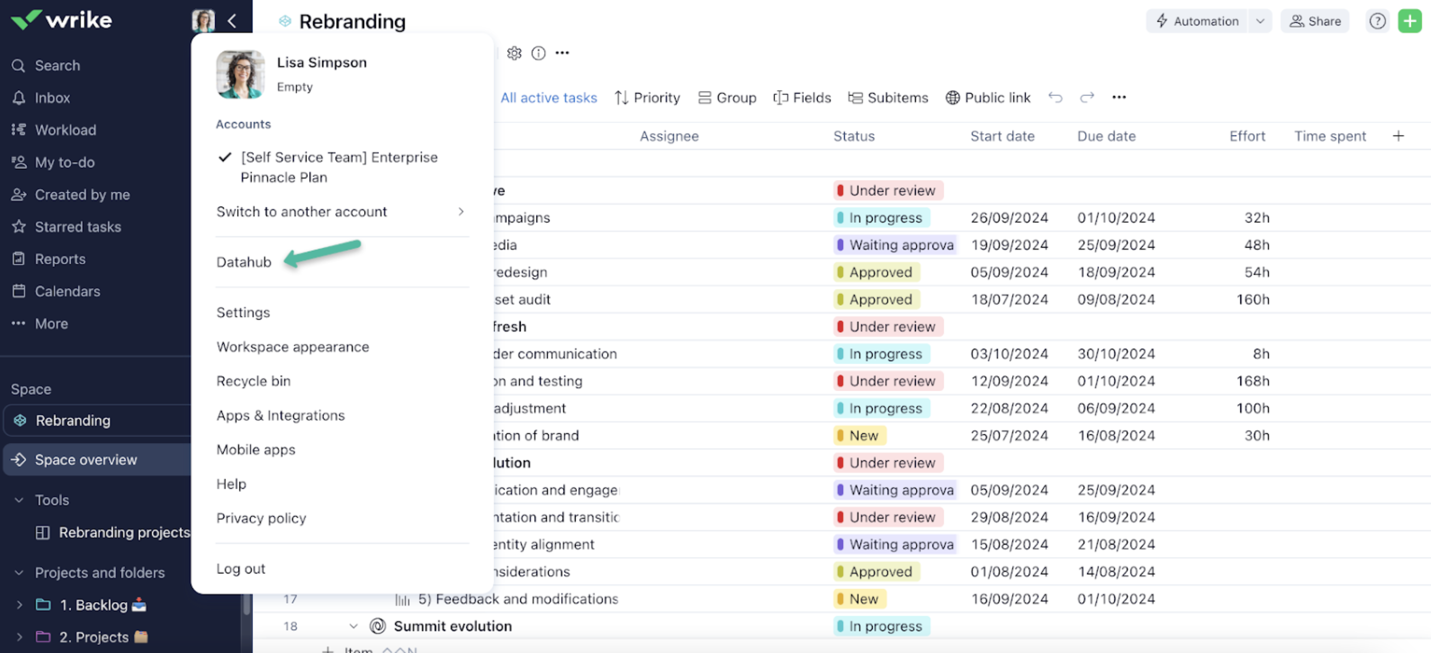 wrike datahub screenshot