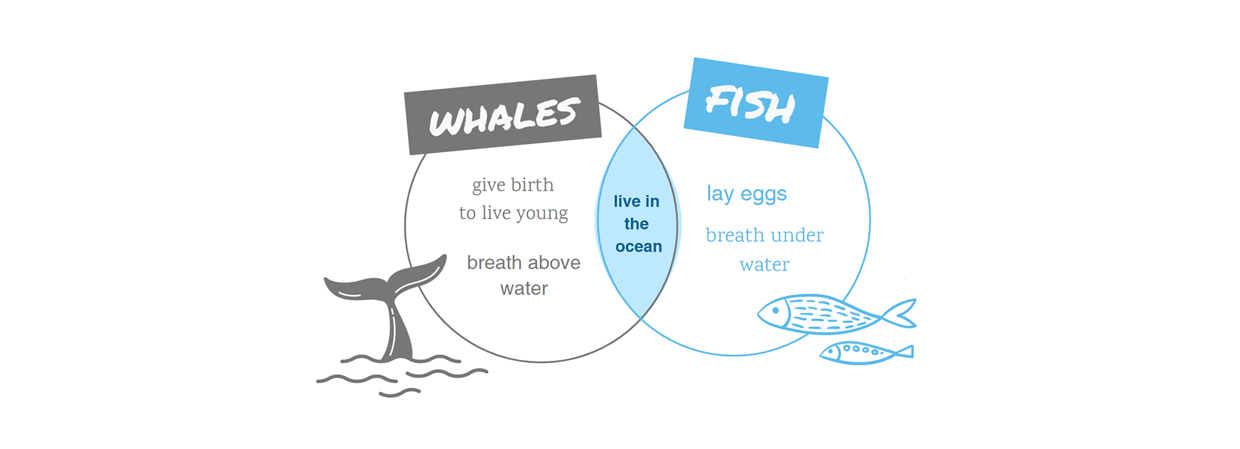Venn Diagram example with whales and fish. | Klaxoon