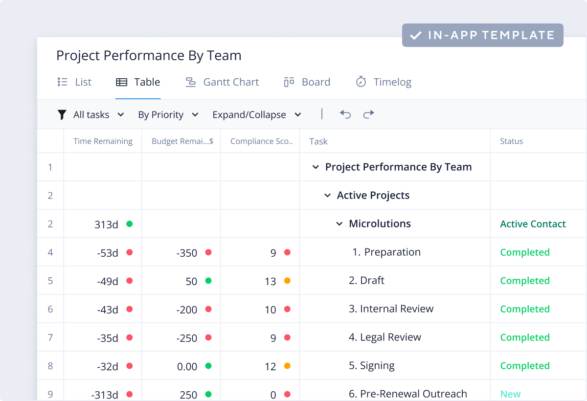 <p>Project Performance Template</p>