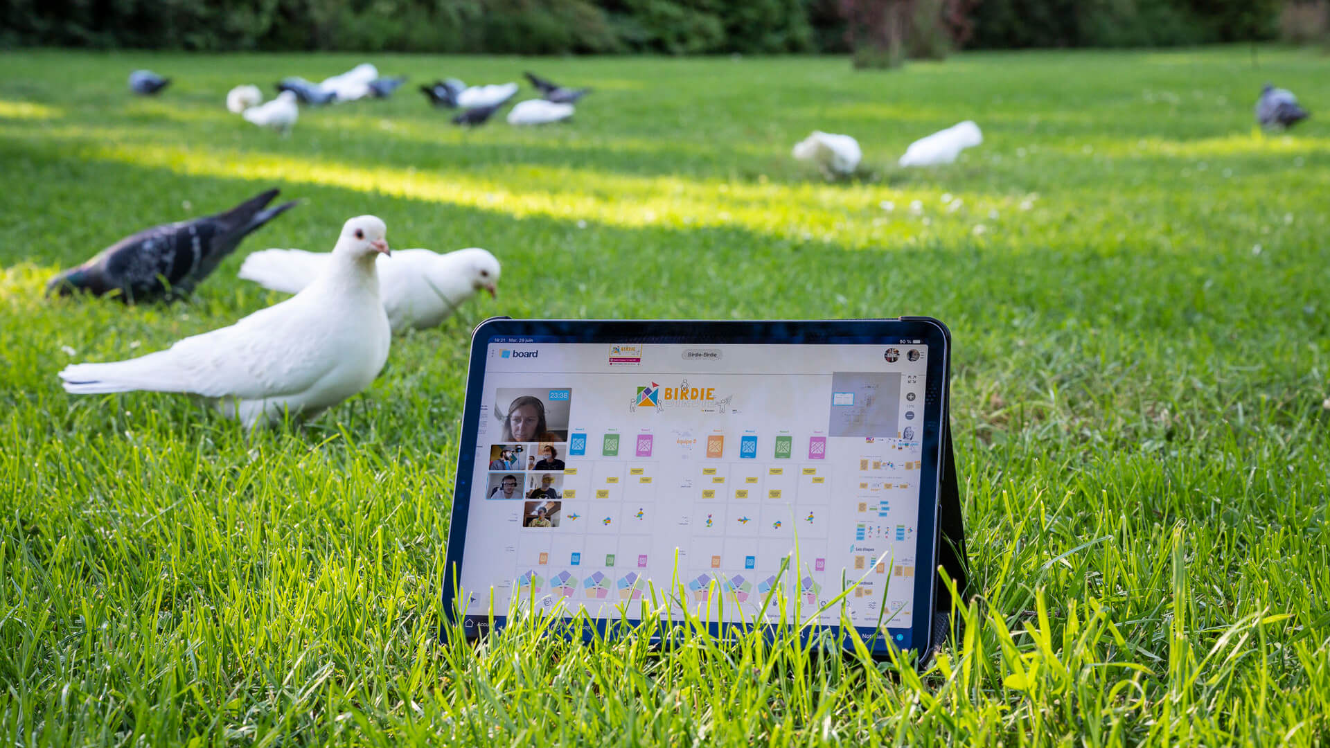 Birdie-Birdie |Klaxoon