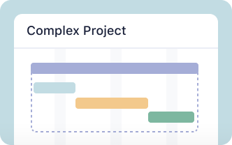 <h5>Complex project with phases<br></h5>