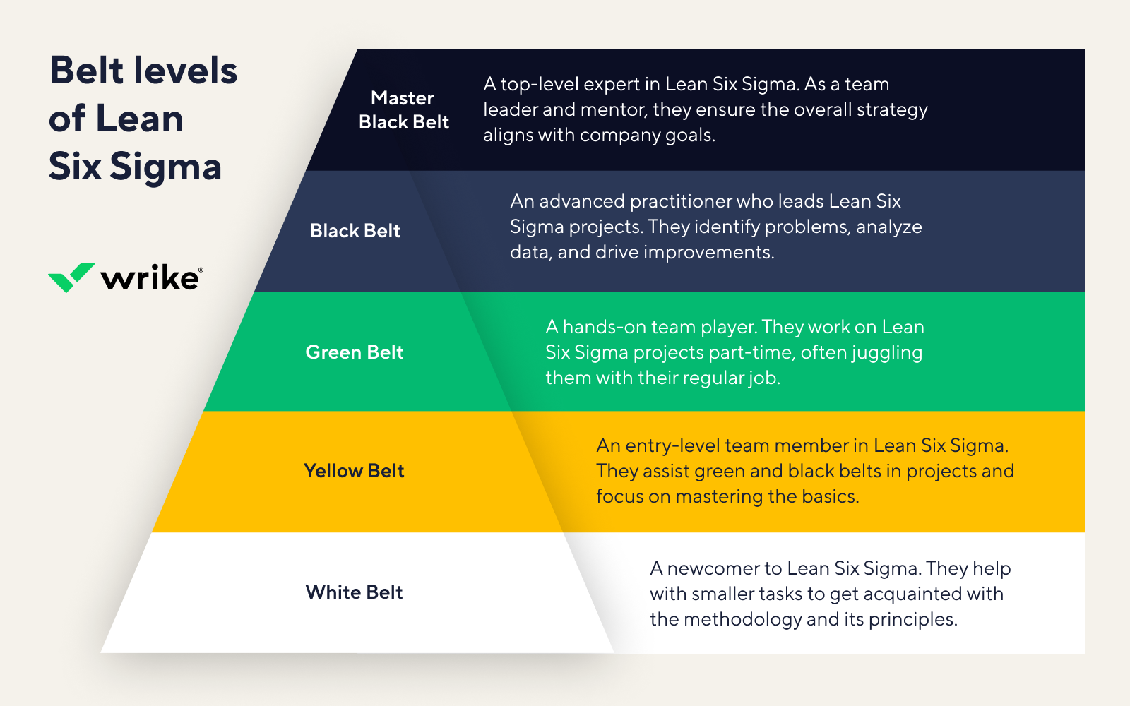 Belt Levels Of Lean Six Sigma 2