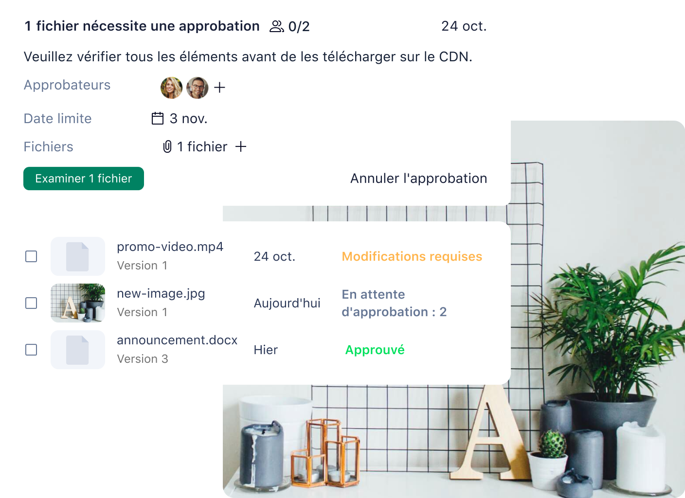 Interface d'approbation d'image avec commentaires et annotations.
