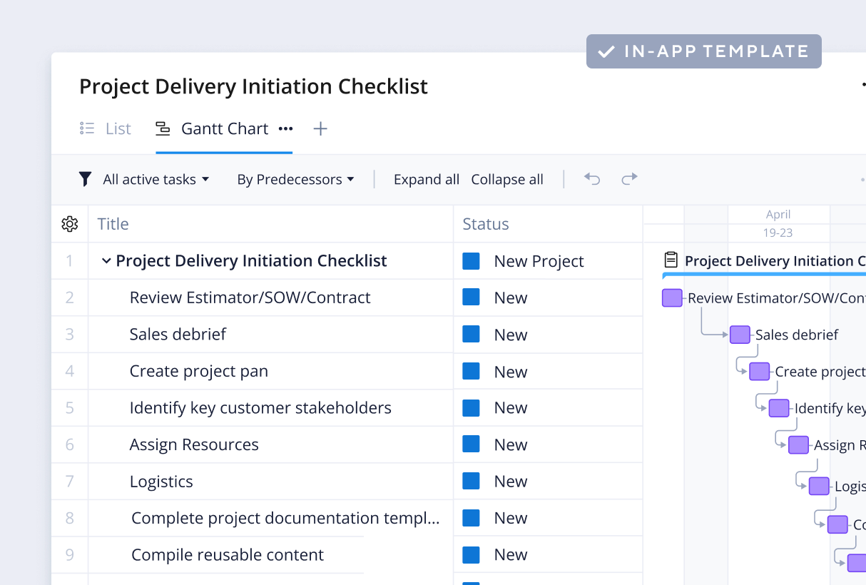 <p>Project Delivery Initiation Template</p>