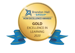 <h5>Excellence in Learning受賞</h5>