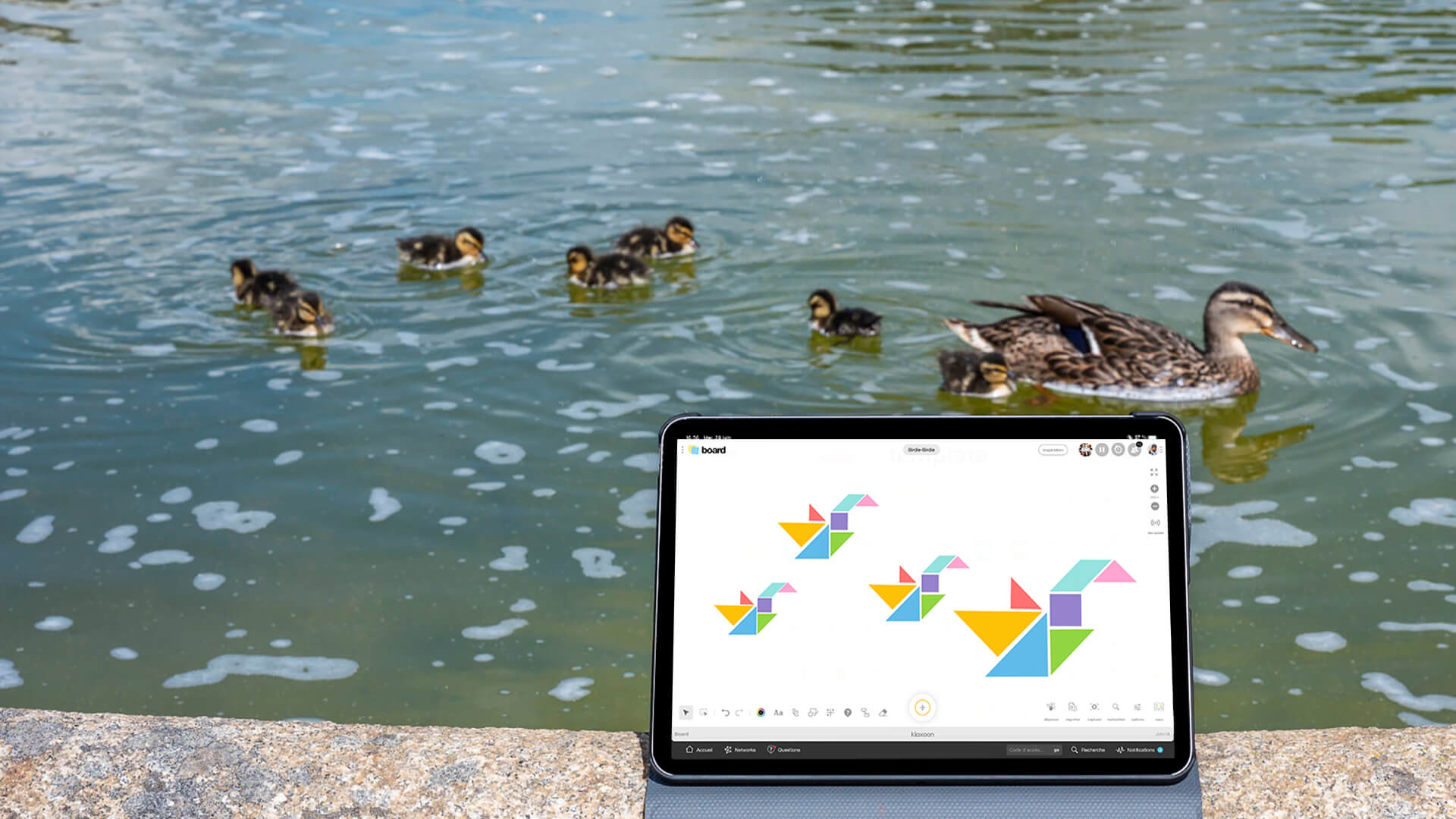 Birdie-Birdie |Klaxoon