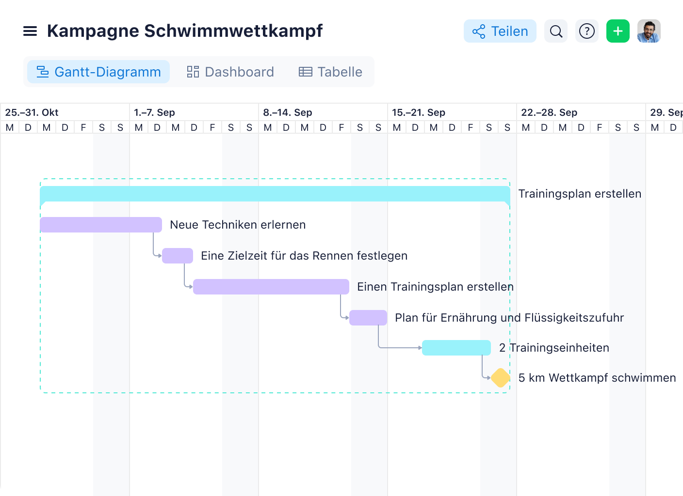 Gantt-Diagramm mit farbigen Balken als Schwimmerbahnen und horizontaler Zeitachse.