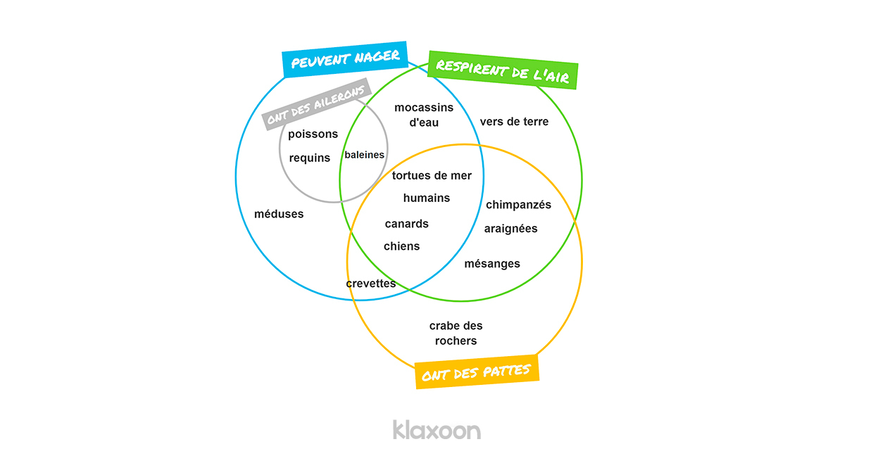 Une comparaison plus complexe de caractéristiques de plusieurs espèces animales sous forme de diagramme de Venn. | Klaxoon 