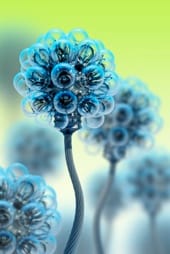 3 Steps to Building Your Own Innovation Machine (Part 1)