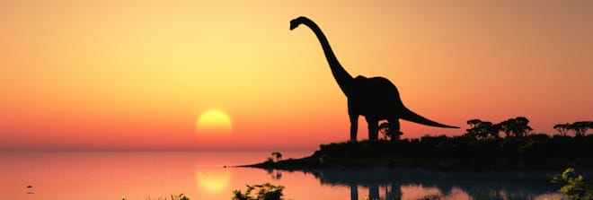5 Project Management Ideas that Should be Extinct
