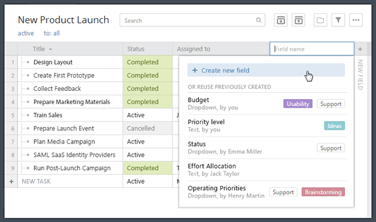 Personalize Wrike with New Custom Fields