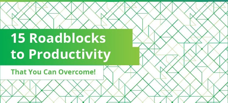 Top 15 Productivity Roadblocks Hindering Your Team (Infographic)