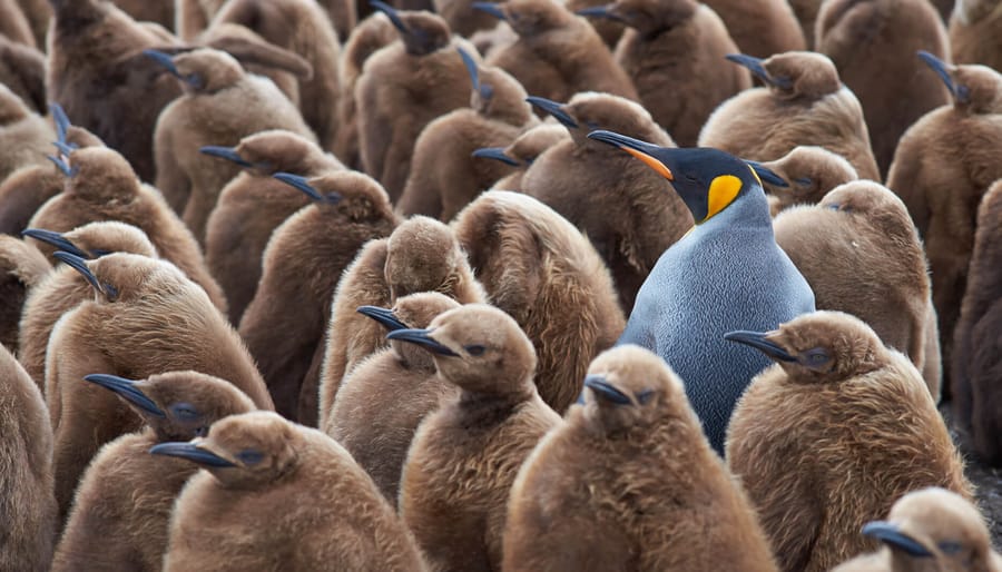 Are Consistency and Creativity Mutually Exclusive?