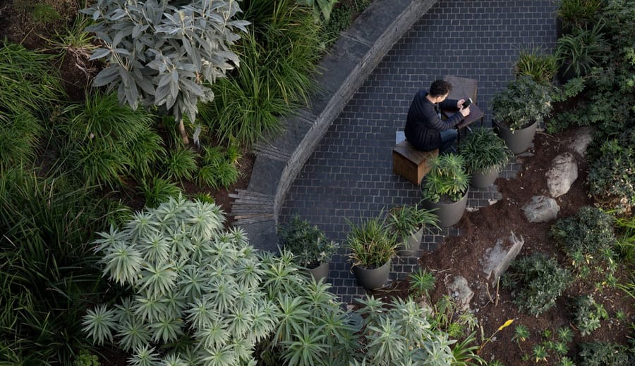 ¿Trabajo remoto o remotamente trabajando? Consejos de colaboración al trabajar en remoto