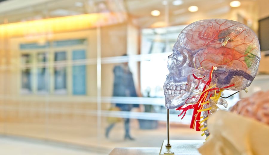 7 factores psicológicos del consumidor que todo responsable de marketing debería dominar