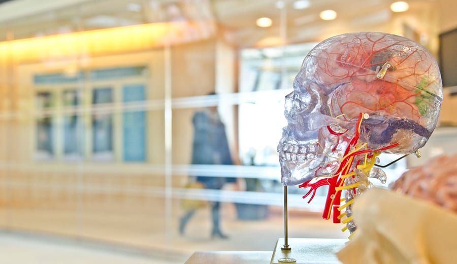 7 Psychological Triggers Every Marketer Should Master