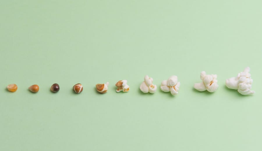 How to Walk the Tightrope Between Consistency and Growth