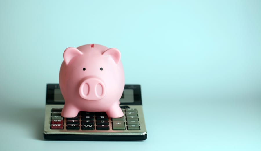 Costing, Scoping, Reporting: Budget Management for Professional Services