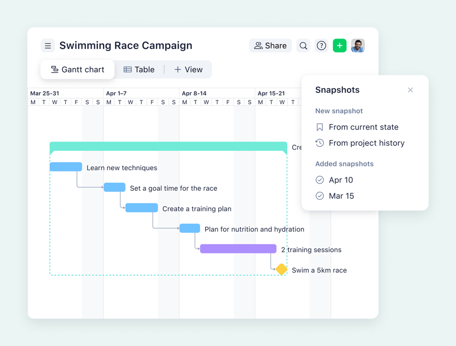 product screenshot of wrike gantt chart on aqua background