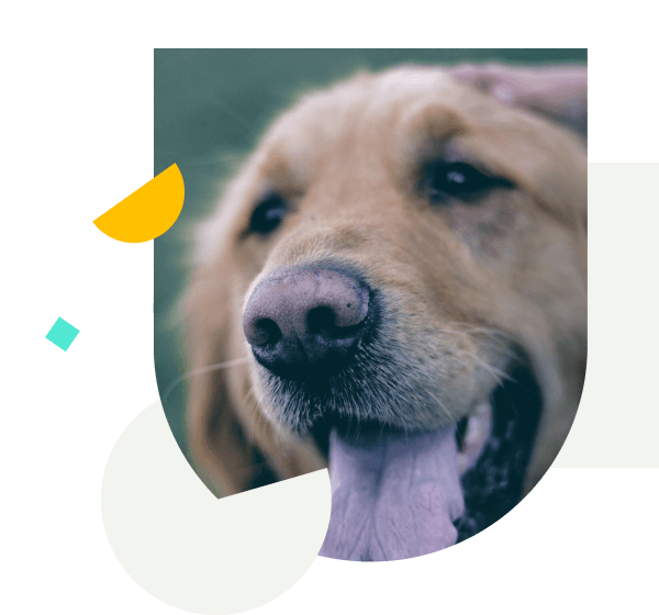 Digital Publishing Company Aligns Multiple Teams with Wrike to Improve On-Time Delivery of Projects by 50%