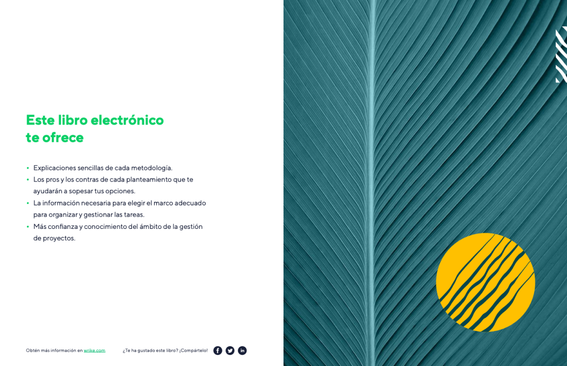 Ebook inside screenshot